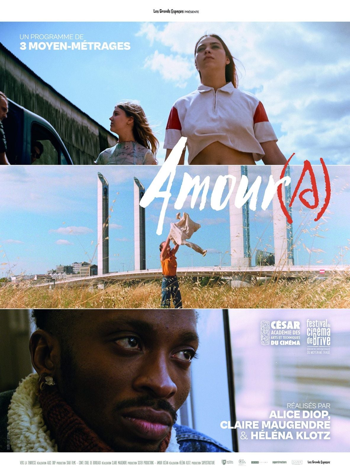 Affiche Amour(s)