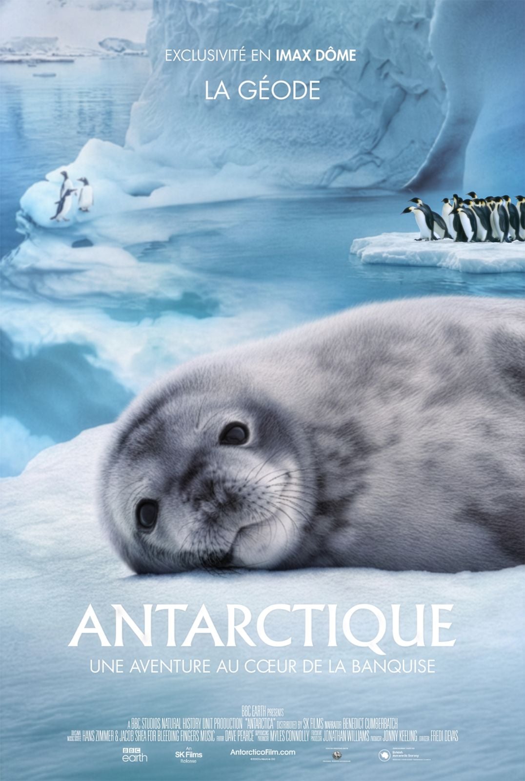 Affiche Antarctique : Une aventure au cœur de la  banquise