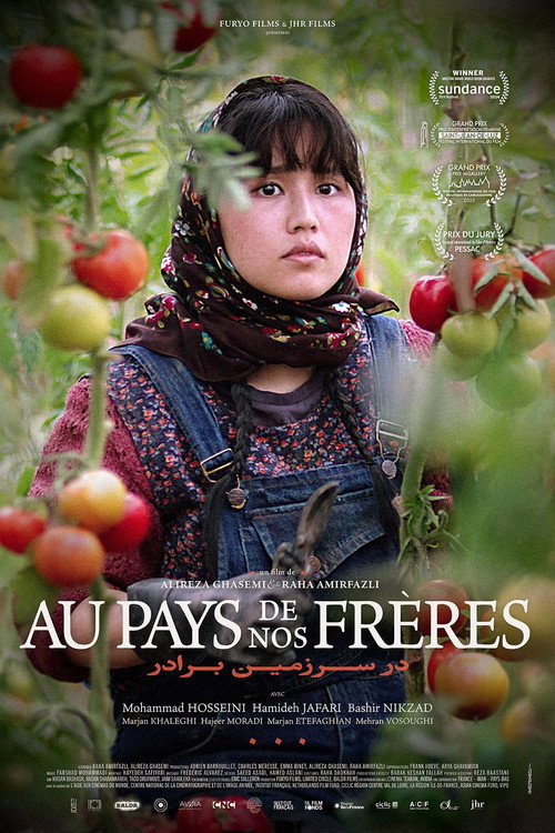 Affiche Au pays de nos frères