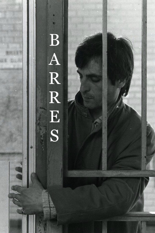 Affiche BARRES