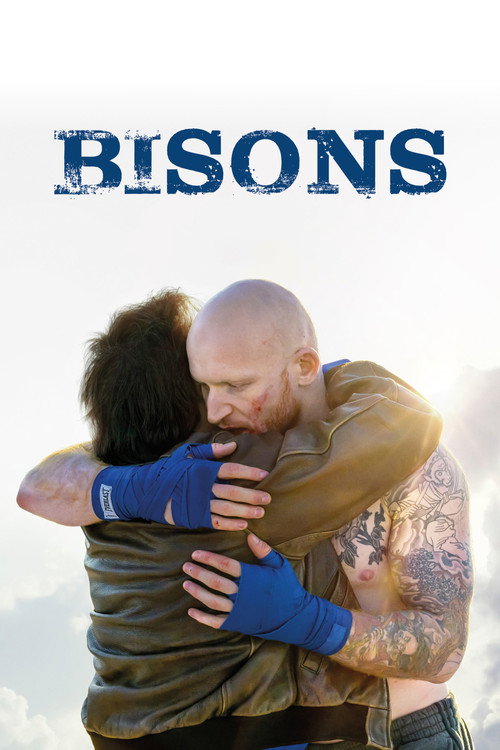 Affiche Bisons