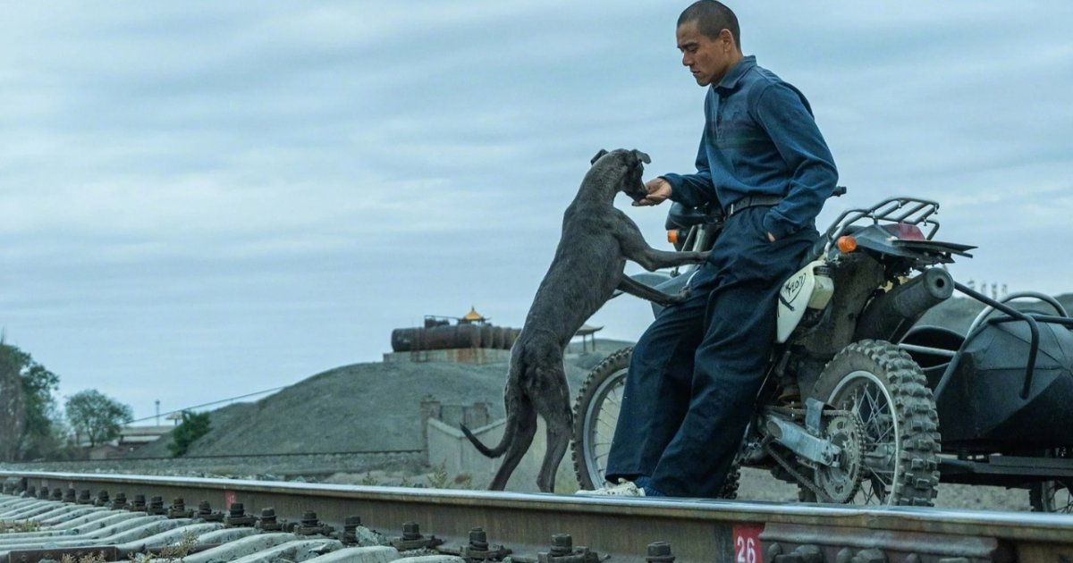 Affiche Black Dog