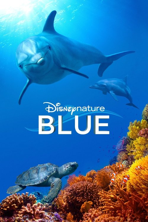 Affiche Blue