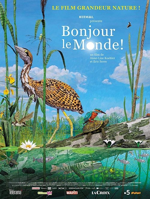 Affiche Bonjour le monde !