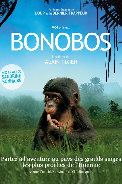 Affiche Bonobos