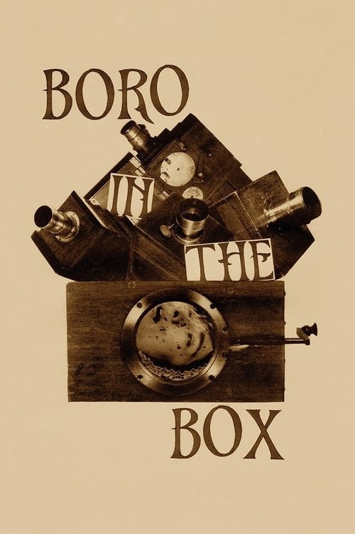 Affiche Boro in the Box