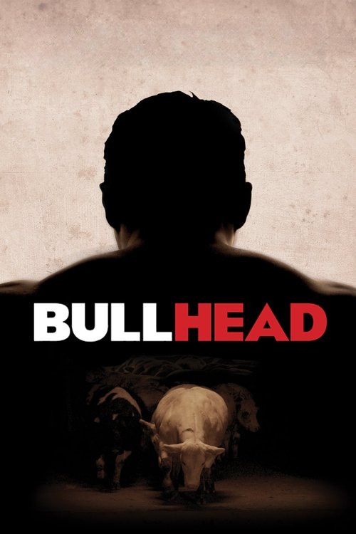 Affiche Bullhead