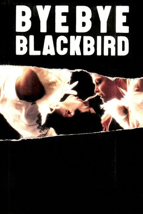 Affiche Bye Bye Blackbird