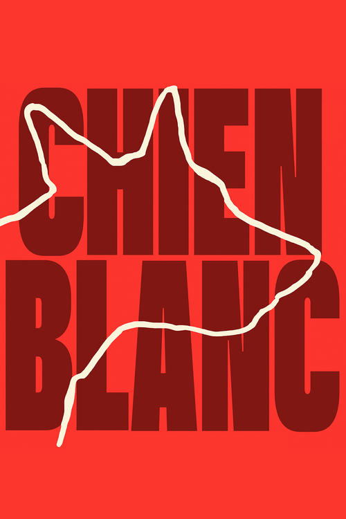 Affiche Chien blanc