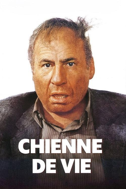 Affiche Chienne de vie