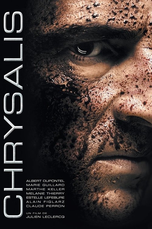 Affiche Chrysalis