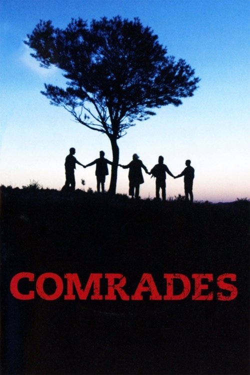 Affiche Comrades