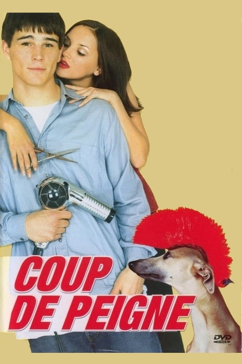 Affiche Coup de peigne