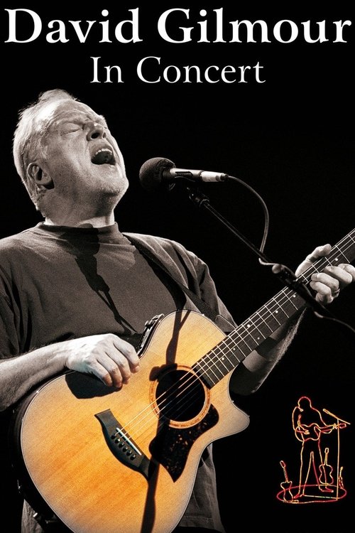 Affiche David Gilmour