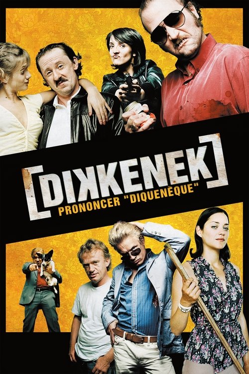 Affiche Dikkenek