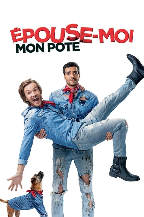 Affiche Épouse-moi mon pote