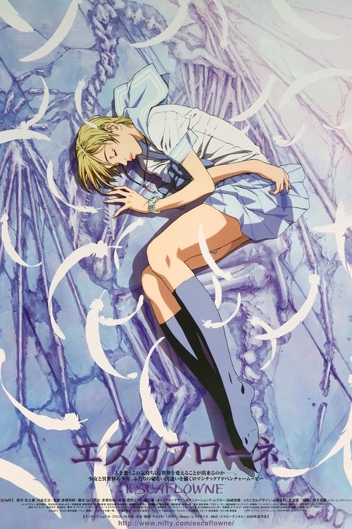 Affiche Escaflowne - Une fille sur Gaïa