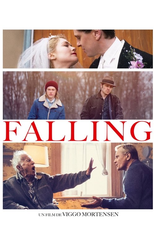 Affiche Falling