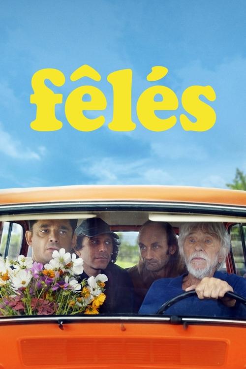 Affiche Fêlés