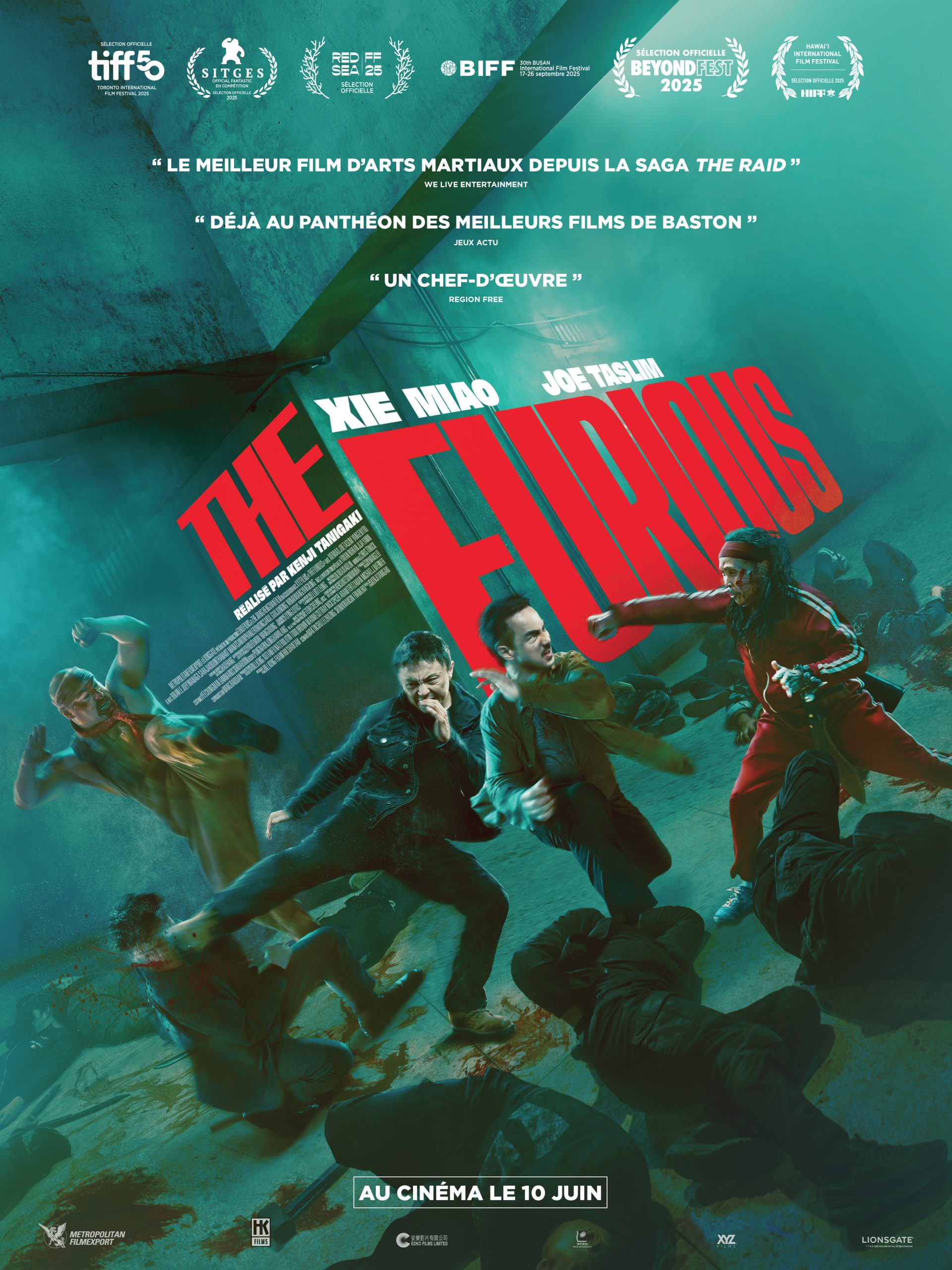 Affiche FURIOUS