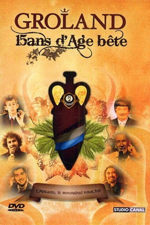 Affiche Groland - 15 ans d'âge... bête