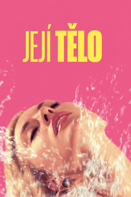 Affiche HER STORY
