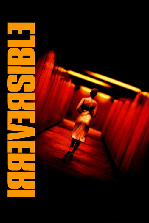 Affiche Irréversible