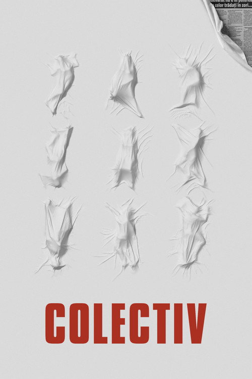 Affiche L'Affaire Collective