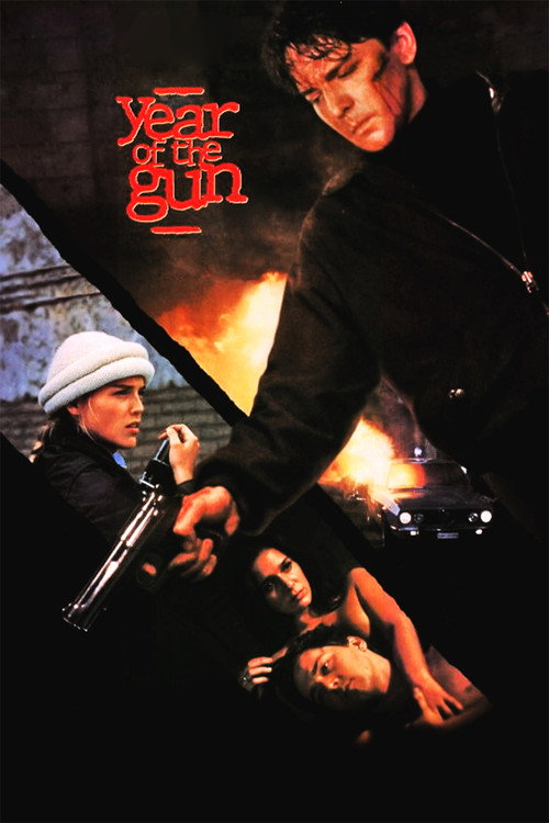 Affiche L'Année de Plomb