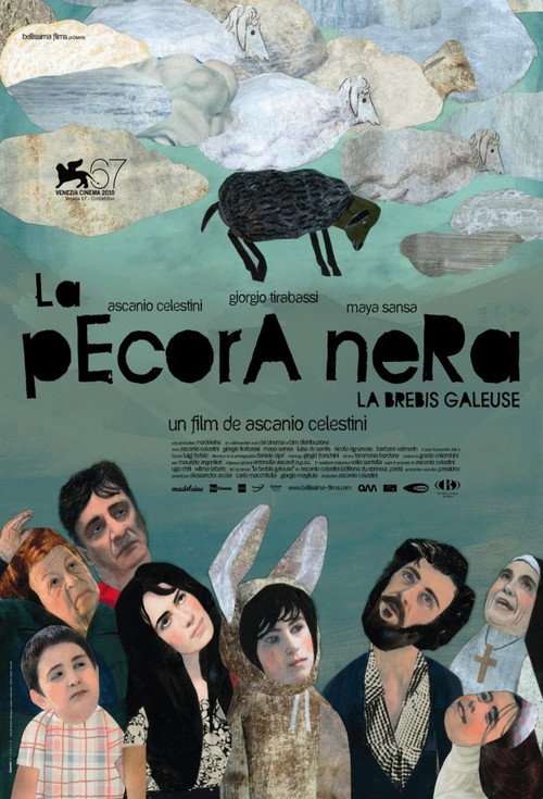 Affiche La pecora nera