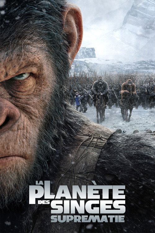 Affiche La Planète des singes : Suprématie
