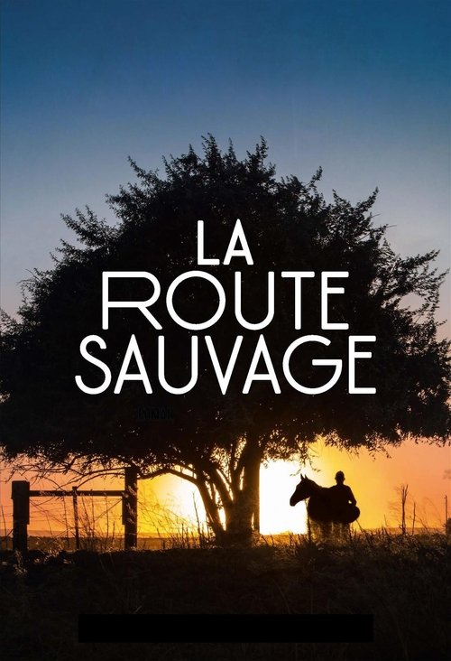 Affiche La Route sauvage
