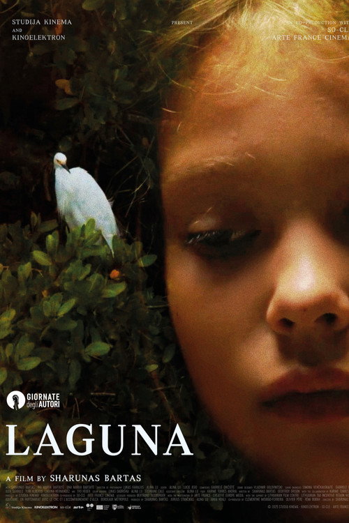 Affiche Laguna