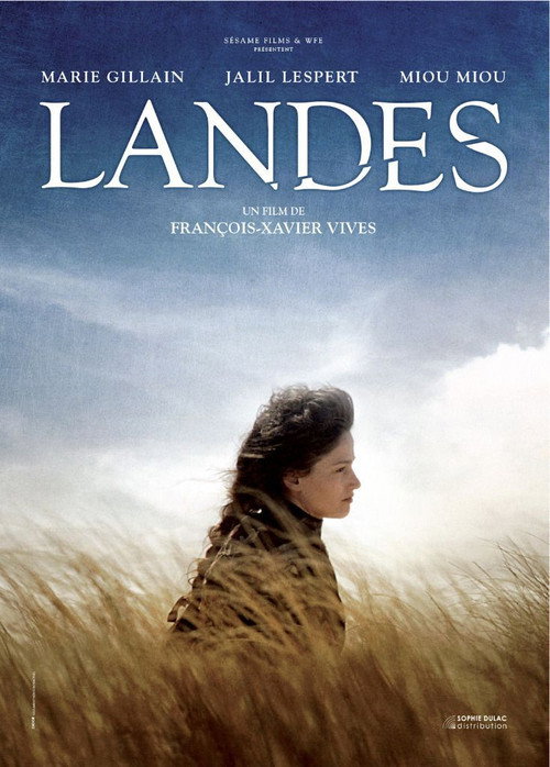 Affiche Landes