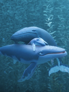 Affiche Le Chant de la Baleine