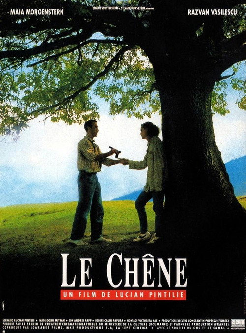 Affiche Le Chêne