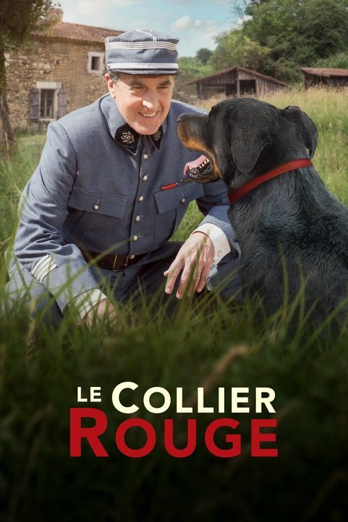 Affiche Le Collier rouge