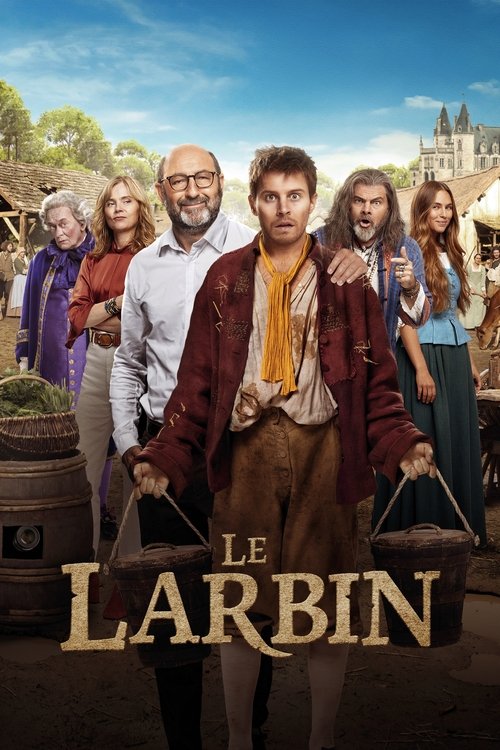 Affiche Le Larbin