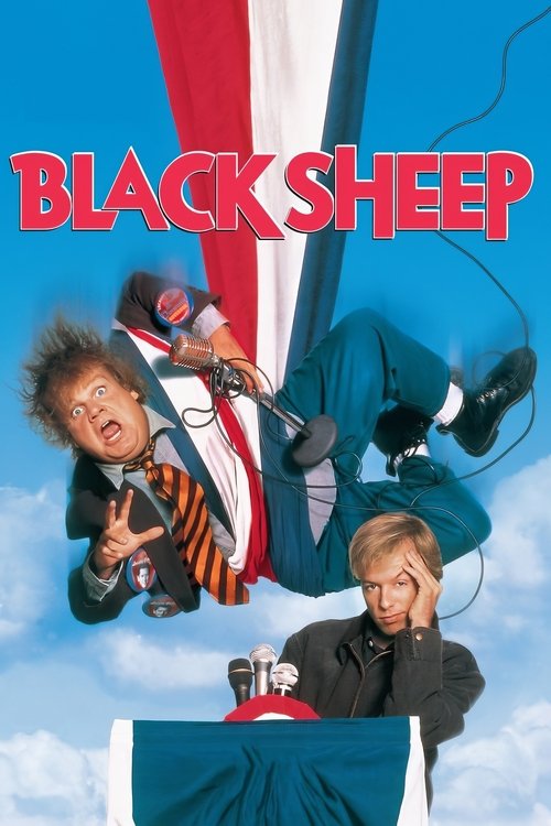 Affiche Le Mouton noir