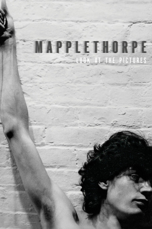 Affiche Mapplethorpe : look at the pictures