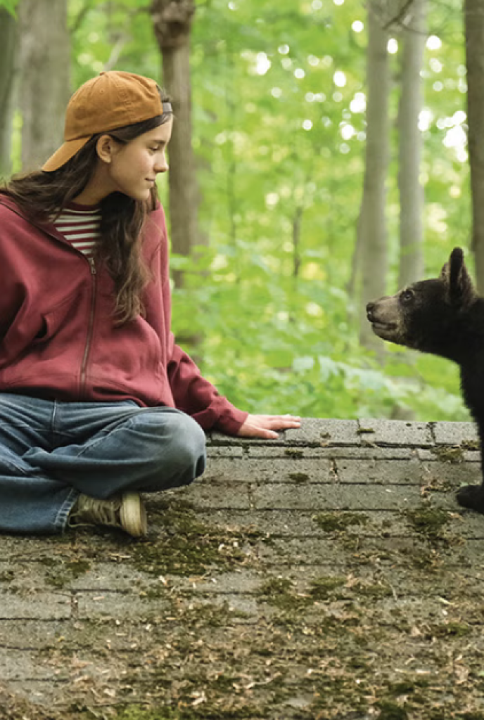 Affiche Mélodie pour un Ours