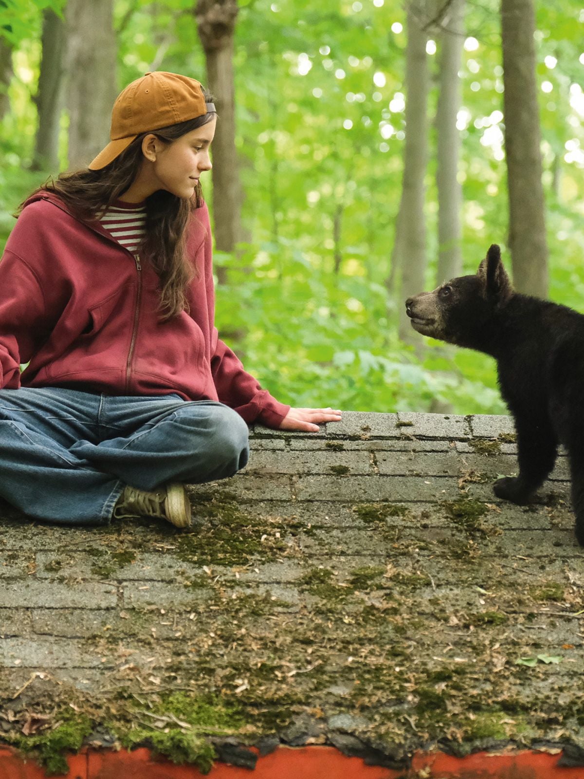 Affiche Melody pour un ours