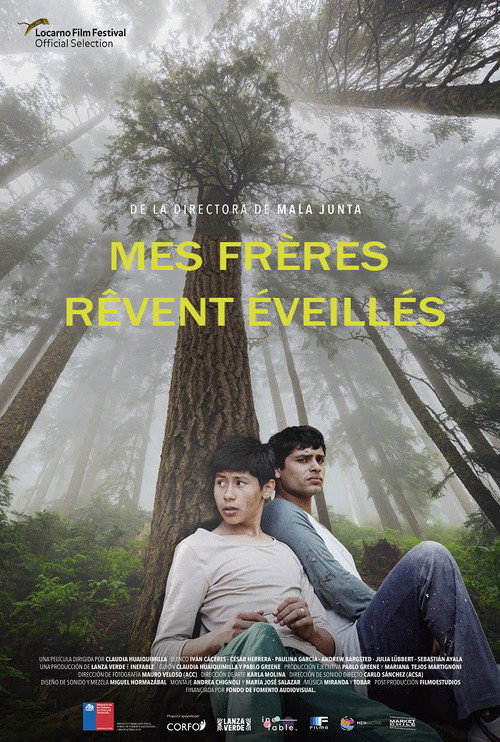 Affiche Mis Hermanos
