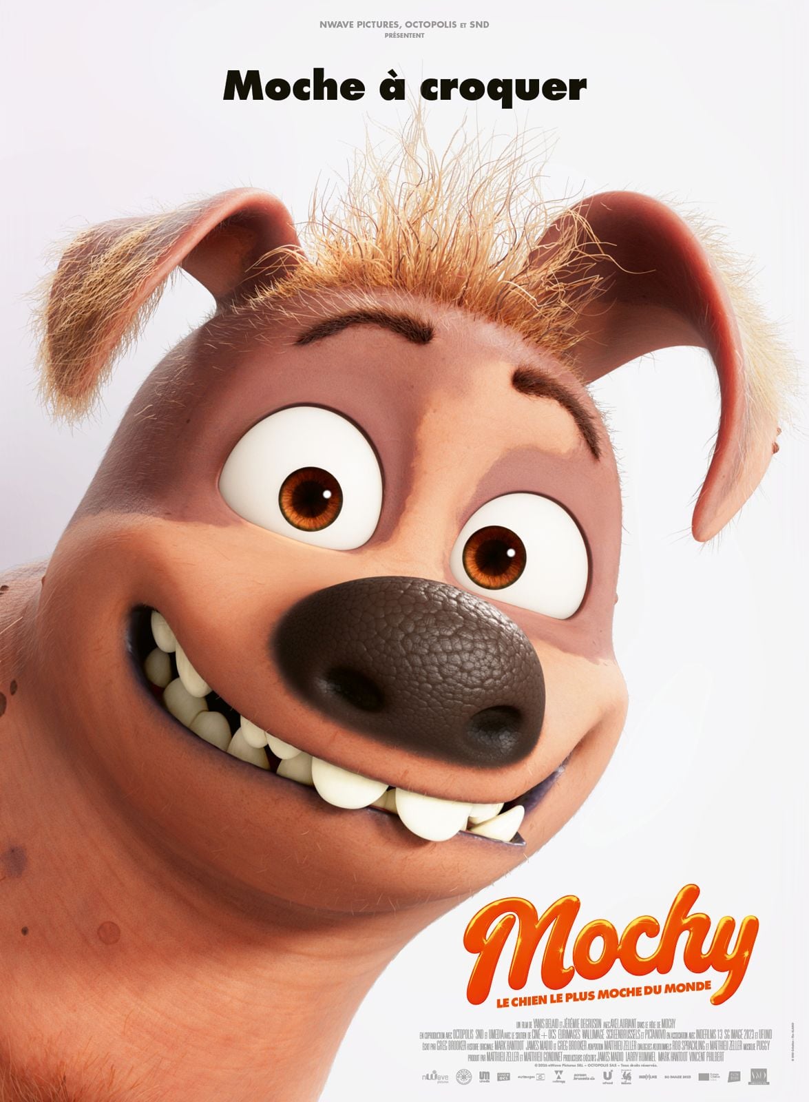 Affiche Mochy, le chien le plus moche du monde