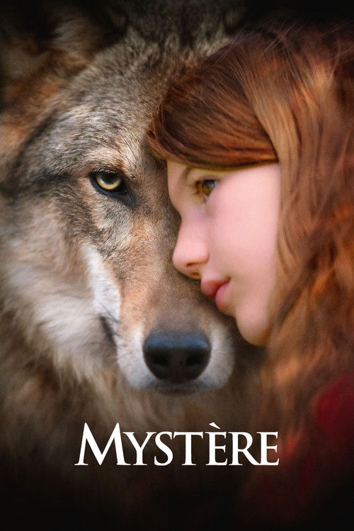 Affiche Mystère