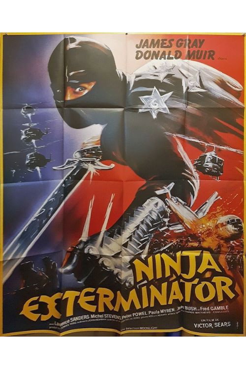 Affiche Ninja Exterminator