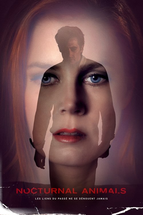 Affiche Nocturnal Animals