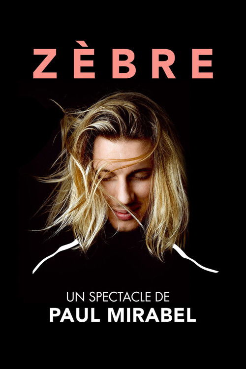 Affiche Paul Mirabel