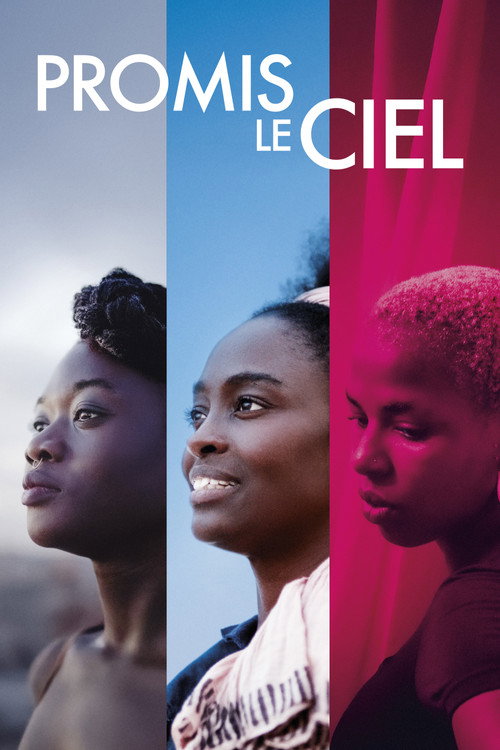 Affiche Promis le ciel