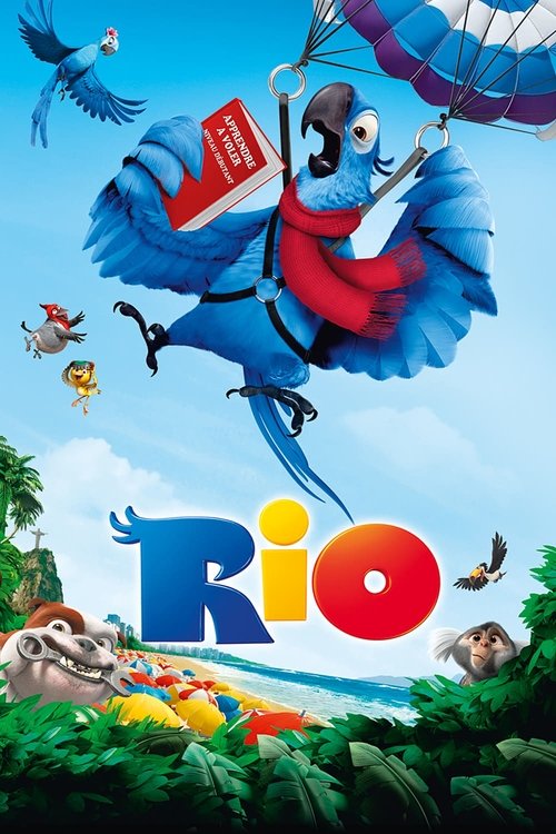 Affiche Rio
